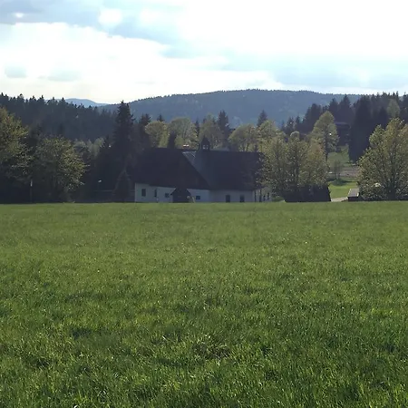 Apartmán Dřevona Ii