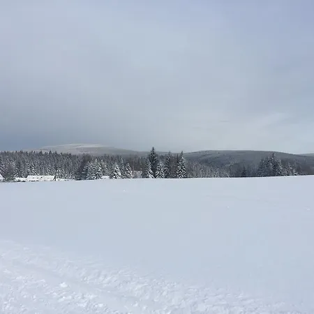 Dřevona Ii *