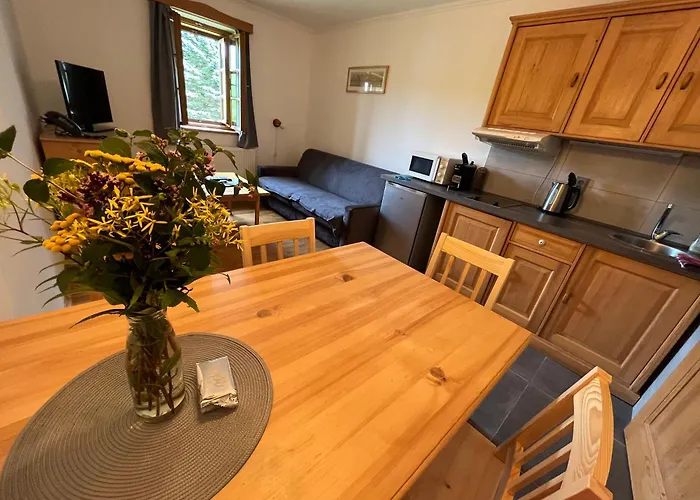 Drevona Ii Janov nad Nisou